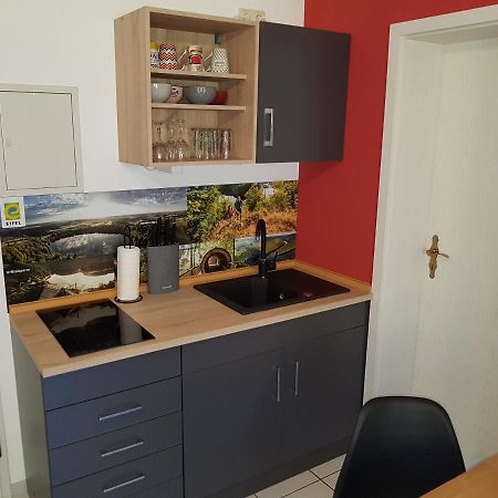 Zimmerappartement "Rose" - Ferienwohnungen Wagner & Gaul Daleiden エクステリア 写真