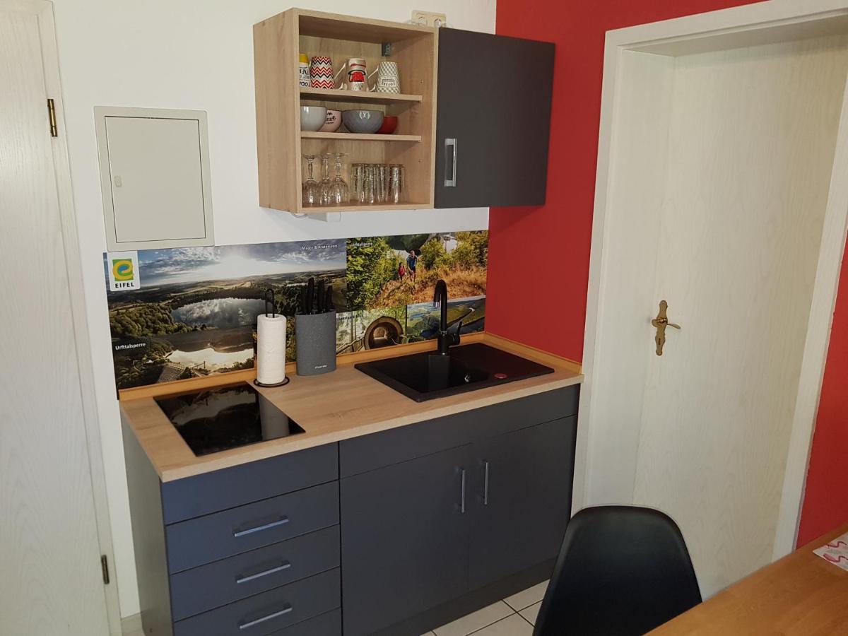 Zimmerappartement "Rose" - Ferienwohnungen Wagner & Gaul Daleiden エクステリア 写真